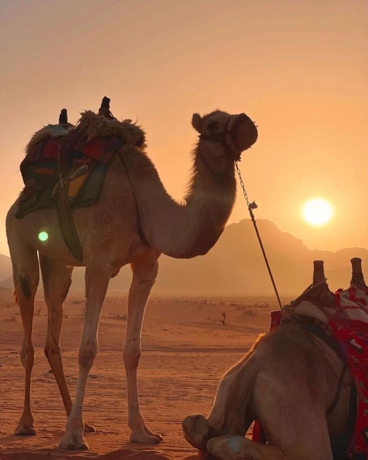 Rum Desert Princess Camp Wadi Rum Exteriér fotografie